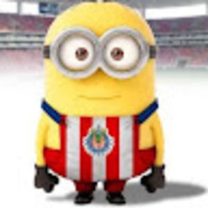 Meet your Posher, Javier